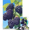 JIANGENNF Puzzle per adulti con illustrazione di 1000 more sulla vite, giocattolo decorativo da parete, decorazione artistica per la casa, con pezzi di forma casuale completamente ad incastro 38x26cm