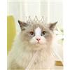 Lovelyshop Pet serie Argento Placcato Royal Strass Perla Completa Rotonda Cane/Gatto Corona per Costume Accessori Per Capelli-S