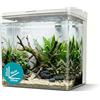 AQPET NEYA Acquario da Scrivania con Filtro e Pompa Inclusi, LED 5 Modalità e Porte USB - Mini Acquario in Acrilico con Coperchio Apribile, Ideale per Betta, Caridine e Piante Acquatiche 5lt (Bianco)