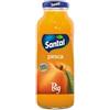 Santal Succo di Frutta Big Pesca Ingredienti 100% di Origine Naturale Confezione da 12 Bottiglie in Vetro da 250ml