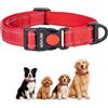 REVER Collare Cane Riflettente, Nylon Resistente, Neoprene Morbido