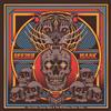 Isaak Interstellar Cosmic Blues & the Riffalicious.. (Vinyl LP) 12" Album