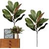 Generic Rami di magnolia - Foglie finte, ramoscelli decorativi artificiali, accessorio per la casa di lunga durata, riempitivo per vasi, rami artificiali per composizioni floreali, progetti artigianali
