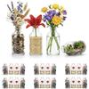 casavetro 24 Bottigliette di Vetro Piccole 100ml - Vasetti Fiori Monofiore 100 ml Bottiglie Decorative Set Bomboniere Tavolo Regalo Matrimonio