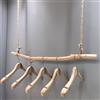 Jcgly Appendiabiti in Legno di Deriva, Appendiabiti Rustico con Rami, Asta Grucce da Soffitto per Esposizione al Dettaglio(Natural,80cm(32in))