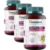 Himalaya Healthy Hair Gummies - Capelli forti e lucenti - Delizioso gusto fruttato naturale - Biotina, silice di bambù, amla - Vegano, 60 Caramelle Gommose (Confezione da 3)