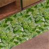 PETTI Artigiani Italiani - Tappeto Cucina, Tappeto Cucina Antiscivolo Lavabile, Passatoia Cucina, Tappeto Runner Cucina, 52x340 cm, Fantasia Tropical 05, 100% Made in Italy
