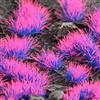 Gamers Grass - Tufts Alien Neon (4 mm) Shape: Wild