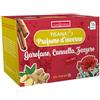 Generico Tisana Profumo D'Inverno 20 filtri Chiodi di garofano, cannella e zenzero