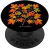 The Botany Bureau Illustrazione della pianta dell'acero dello zucchero Acer saccharum PopSockets PopGrip Adesivo