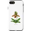 The Botany Bureau Custodia per iPhone SE (2020) / 7/8 Illustrazione della pianta dell'orchidea pantofola della signora Paphiopedilum