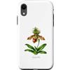 The Botany Bureau Custodia per iPhone XR Illustrazione della pianta dell'orchidea pantofola della signora Paphiopedilum
