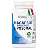 L'energia delle piante Magnesio Bisglicinato 350 mg con Vitamina B6 Attiva, 90 Capsule Vegetali | Formula Liposomiale ad Elevato Assorbimento, Sistema Nervoso e Muscoli, Riduce Stanchezza e Affaticamento, 100% Made in Italy