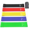 YLK 【5 Pezzi】YLK Elastici Fitness, Set di Fasce Bande Elastiche Fitness con 5 Diversi Livelli di Resistenza, Elastici Palestra per Crossfit, Yoga, Pilates con Borse Portaoggetti (APack)