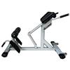 APLVFFZH Fitness Training Bench Romana Iperestensioni Addominali Lombari con Telaio Acciaio Cuscini E Rulli Antiscivolo Regolabile per Hyperextension Training Palestra, Sedia Romana Argento