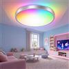 Horevo 24W Lampada da Soffitto con Altoparlante Bluetooth per Ristoranti | 30cm, 2000 Lumen, Telecomando, Intensità Regolabile, 3 Temperature di Colore per la Camera da Letto e il Corridoio