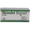 ABBATE A&V PHARMA Srl SKINDET Repair Gel 30ml