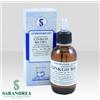 SARANDREA MARCO &C. Srl Gingko Biloba Gocce 60 Millilitri Sarand Integratore Naturale per Memoria e Circolazione con Effetto Film Protettivo