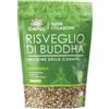 ALMA&VALOR Erbavoglio Production Risveglio Di Buddha Bio Proteine Della Canapa 360 G