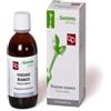 SARANDREA MARCO &C. Srl Vischio Tintura Madre 100 ml - Estratto Idroalcolico di Viscchio per il Benessere Circolatorio