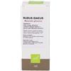 SARANDREA MARCO &C. Srl Rubus idaeus Sarand macerato glicerico 100 ml integratore ai germogli di lampone