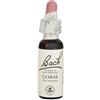 NATUR Srl Gorse Ess 10 ml Ingl Herbs - fiore di Bach Gorse in gocce