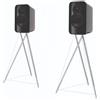 Q ACOUSTICS Q CONCEPT 300 + STAND TENESERGRITY Buono ArtAV 202 EURO GARANZIA ITALIA Black Rosewood diffusori da scaffale