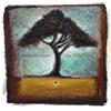 Zoon Van Snook (Falling From) the Nutty Tree (CD) Album