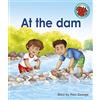 Paul George At the dam (Tascabile) Red Squirrel Phonics Level 1