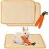 REFLYING 2 Pack Tappeto Tiragraffi Sisal + Giocattolo Carota Coniglio | Set 2-in-1: tappeto tiragraffi sisal + gioco carota da masticare per conigli, criceti e porcellini d'India