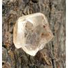 Topazio dorato giallo 48,10 ct pietra preziosa naturale grezza T43958 esempla...