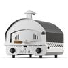 Megashopitalia Forno per Pizza a Gas in Acciaio Inox Doppio Bruciatore Speedy500 con Pietra Refrattaria 500 gradi Forno per Pizza da Esterno (Forno Speedy500)