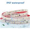 MJJC 220 V 230 V AC SMD2835 IP67 HA CONDOTTO LA Luce di Striscia 120 LED/m Nastro Flessibile Bianco Caldo Freddo Illuminazione Lineare Decorazione del Giardino Esterno