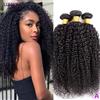 Lumiere Hair Extensions di capelli umani vergini grezzi non trattati Jerry Curly Afro Kinky Mongoliani 18A, 1/3/4 pezzi, all'ingrosso