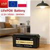 SJY Batteria al Litio LiFePO4 12.8V 300Ah 3840Wh | Batteria a Ciclo Profondo 12V per Camper, Barche e Sistemi di Accumulo Energia Solare Off-Grid