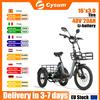 Cysum AG1 Pro Triciclo Elettrico 16'', 750W, Batteria Rimovibile 48V 20AH, Freno a Disco Idraulico Shimano, Telaio in Lega con Cestino Portaoggetti