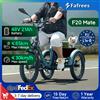 Fafrees F20 Mate Triciclo Elettrico Pieghevole per Adulti, E-trike da Carico 500W con Batteria Rimovibile 48V 21Ah