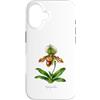 The Botany Bureau Custodia per iPhone 16 Illustrazione della pianta dell'orchidea pantofola della signora Paphiopedilum