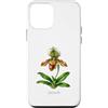 The Botany Bureau Custodia per iPhone 12 mini Illustrazione della pianta dell'orchidea pantofola della signora Paphiopedilum