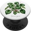 The Botany Bureau Anguria Peperomia pianta illustrazione Peperomia argyreia PopSockets PopGrip Adesivo