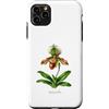 The Botany Bureau Custodia per iPhone 11 Pro Max Illustrazione della pianta dell'orchidea pantofola della signora Paphiopedilum