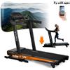 HMS Tapis roulant da interno HMS TERRUN275 con regolazione dell'inclinazione