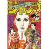 Weekly Shonen Jump 50 1995 - Japanese Magazine - Level E Cover