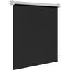 WOLTU Tenda a Rullo Oscurante con Montaggio a Vite, 160x160 cm, Nero | Rivestimento Argentato Termoisolante, Protezione Solare, per Finestre e Porte, Larghezza Tessuto 156 cm