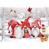 AIRDEA Set per Diamond Painting di Natale per Adulti, Kit per Pittura con Diamanti 5D, Gnomi, Pittura con i Numeri, Immagini di Pittura con Diamanti Invernali, Kit Completi e Rotondi per Bambini, Kit