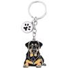 BT Bear Portachiavi a forma di cane, con targhetta identificativa per cani, in metallo, portachiavi per portachiavi o borsa