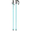 HEAD Bastoni Sci WC REBELS CARBON Racing