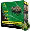 ZOMA Trappola per Cimici Asiatiche con Feromone Sessuale Attrattivo Maschile e Femminile, Kit Ecologico a Effetto Duraturo, Facile da Assemblare e Testato (Trappola e Feromoni)