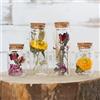 comforder Fiori Secchi Naturali in Vasi di Vetro, Set da 4, Primavera