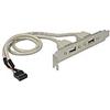 Delock Adattore Delock Slotblech 2 x USB 2.0 Typ A 0.3 m [71000]